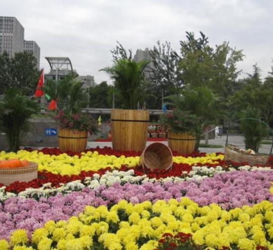 克孜勒苏柯尔克孜城市菊展设计